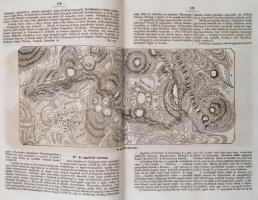 Magyarország képekben. Honismertető folyóirat. I-II. kötet. Szerk.: Nagy Miklós. Pest,1870, (1867-18...