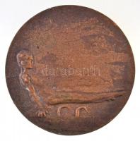 1977. "VII. Országos Kisdobos Tornaverseny - Kiskunhalas 1977" Br emlékérem (115mm) T:2,2-