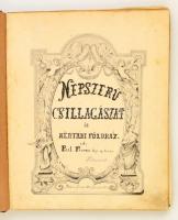 1880 Népszerű csillagászat és mértani földrajz, Paál Ferenc (1832-1903) kolozsvári tanítóképző-intézeti igazgató-tanár című kézzel írt és rajzolt ismeretterjesztő könyve, sérült félvászon kötésben