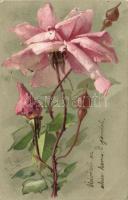 77 db lap C. Klein szignóval / 77 cards signed C. Klein