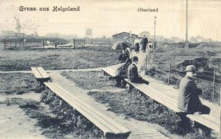 4 db RÉGI német városképes lap / 4 pre-1945 German town-view postcards; München, Reichenbach, Helgol...