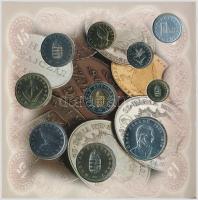 1998. 50f-200Ft (10xklf) forgalmi sor dísztokban + 1998. 100Ft alpakka "1848-1849. Szabadsághar...