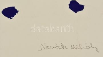 Novák Mihály (?-): Háború. Szitanyomat, papír, jelzett, 38×48 cm