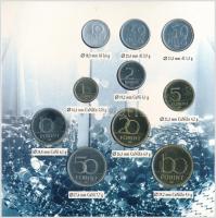 1996. 10f-100Ft 10klf db "50 éves a forint" forgalmi sor dísztokban T:PP 
Adamo FO29.3