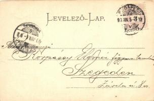 1899 Budapest XI. Gellérthegy, Hattyú gőzhajó (EK)