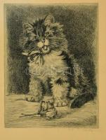 Márton jelzéssel: Ásító cica. Rézkarc, papír, jelzett, 19×14,5 cm