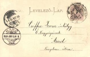 1899 Budapest I. Királyi vár és várbazár, gőzhajó (EK)