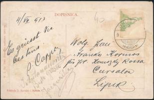 Okucani, Trgovina tvrtke J. Sarailia i Mirnic /  J. Sarailia és Mirnic üzlete és saját kiadása. W.L....