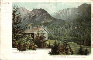 Tátra, Tarpataki-völgy, Zerge szálloda. Feitzinger Ede 52. 1904/14. / Kohlbachthal, Restauration zur Gemse / valley, restaurant (EK)