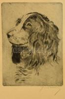 Olvashatatlan jelzéssel: Kutya portré. Rézkarc, papír, 20×14 cm