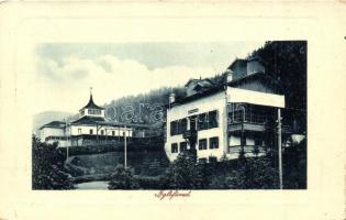 Igló, Iglau, Spisská Nová Ves; Társalgó szálloda. W. L. Bp. 2803. Ferencz D. kiadása / hotel (EK)