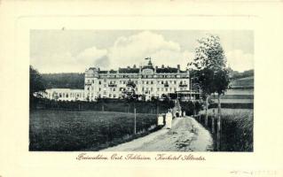 Jeseník, Freiwaldau; Kurhotel Altvater / spa hotel. W.L. Bp. 3311.