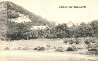 Kovácspatak, Kovacov; nyaralók a Duna-parton / villas