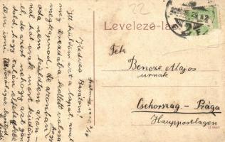 Szatmárnémeti, Szatmár, Satu Mare; Pannonia szálloda. No. 220. / hotel (fa)