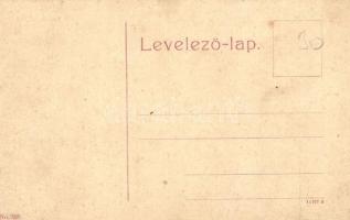 Déva, Deva; látkép. No. 508. / general view (fa)