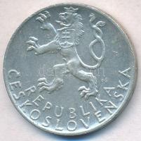 Csehszlovákia 1947. 50K Ag "Szlovák felkelés" T:1-,2
Czechoslovakia 1947. 50 Korun Ag &qu...