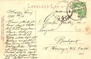 Mehádia, Török rom. W. L. 1503. Kiadó Brauch A. és Fia / Turkische Ruine / Turkish ruins