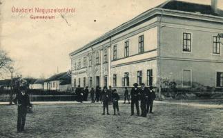 Nagyszalonta, Salonta; Gimnázium. W. L. 1601. / grammar school (EK)
