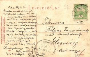 Anina, Stájerlakanina, Steierdorf; vasgyári látkép, fűrésztelep. 1184. Káden József kiadása / iron w...