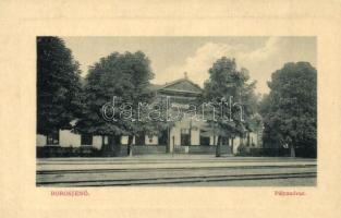 Borosjenő, Ineu; Vasútállomás, pályaudvar. W. L. Bp. 5268. / railway station (vágott / cut)