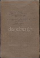 cca 1910 Újházy Ferenc (1827-1921) festőművész aláírása őt magát ábrázoló fotó alatt, kartonra ragas...
