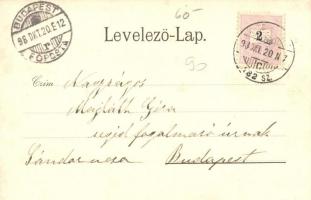 1898 Liptószentmiklós, Liptovsky Mikulas; Megyeház, piac, Fő tér, Fő utca, üzletek. Löw Dezső kiadás...