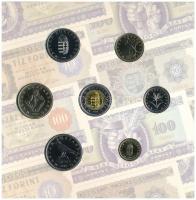 2006. 1Ft-100Ft (8xklf) forgalmi sor szettben, benne 1946-os 1Ft Ag "Hatvanéves a Forint" ...