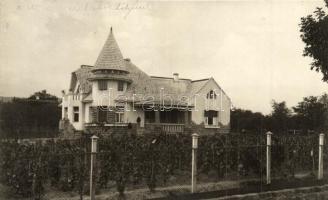 Balatonalmádi, Wéninger nyaraló, villa, szőlő