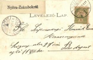 Nyitra, Nitra;  Telegdy utca piaci árusokkal, Haas Mór bor, sör és pálinka mérése / street view with...