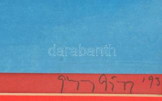 Ghyczy György (1953-): Vízivilág. Szitanyomat, papír, jelzett, üvegezett keretben, 52×37 cm