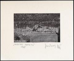 1968 Jankovszky György(1946-): Budapest, Kerepesi temető, feliratozva, aláírt, pecséttel jelzett, kartonra kasírozva, 9x14 cm