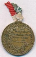 1894. "Kossuth Lajos / Dicső korszak lánglelkű alkotója" Br emlékmedál füllel (28mm) T:2