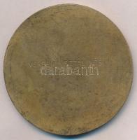 Borsos Miklós (1906-1990) 1949. "Sztálin" Br plakett, hátoldalán "Verseny Sztálinért ...