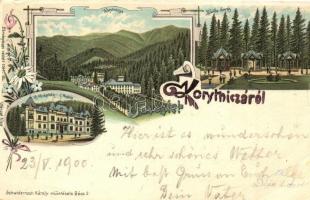 Koritnyica, Korytnica; Zsófia forrás, Új gyógyház Hygiea / spring, spa. Schwidernoch Károly Art Nouveau, floral, litho  (EB)