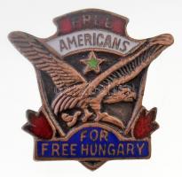 DN "Szabad amerikaiak, szabad Magyarországért (Free Americans For Free Hungary" zománcozott fém jelvény (21x20mm) T:2