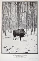 Kaán Károly: Természetvédelem és természeti emlékek. Bp.,1931, Révai, 312+2 p. Fekete-fehér fotókkal...