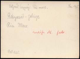 cca 1910 Retyezát, Râul Mare, Erdélyi Mór felvétele, hátulján feliratozva, pecséttel jelzett, 11,5×1...