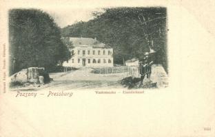 Pozsony, Pressburg, Bratislava; Vaskutacska, Ferdinánd király vasfürdő / Eisenbrünnel (Eisenbründl), spa