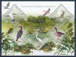 Danube nature reserve - waterbirds block, Duna menti természetvédelmi övezet - vízimadarak blokk