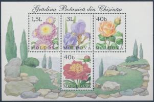 Botanic garden: Flowers block, Botanikus kert: Virágok blokk