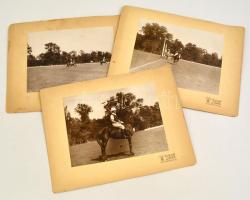 cca 1930 Lovaspóló, 3 db nagyméretű fotó, Halmi Fényképész, kartonra ragasztva, 17×22,5 cm