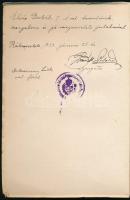 Csite Károly: Árva libák és egyéb történetek a nagy háború idejéből. Bp., 1927, Pátria. Kiadói papír...