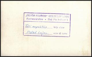 Pethő Lajos (?-?): Téli napsütés, fotó, hátulján pecséttel jelzett (Petőfi Sándor Kultúrotthon Fotós...