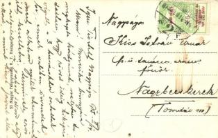 Úsztató huszárok / Schwimmende Husaren / WWI Austro-Hungarian K.u.K. hussars swimming with horses