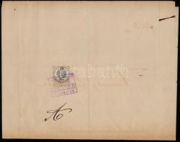 1882 Budapest, a VI. kerületi elöljáróság italmérési engedélye Vámosy Lajos kereskedő részére, illet...