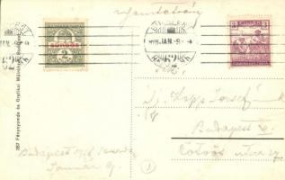 Desinfektor / Osztrák-magyar fertőtlenítő berendezés ruházathoz, takarókhoz / WWI Austro-Hungarian K...