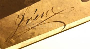 1880-1890 Linyacsky Irén színésznő (?) aláírt portréja, Nagybecskerek, Oroszy Lajos, 20x11 cm