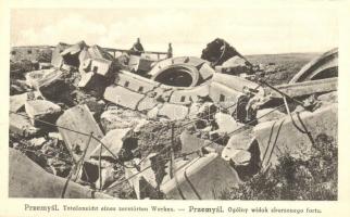 Ogólny widok zburzonego fortu / Totalansicht eines zerstörten Werkes / Lerombolt erődítmény romjai / WWI Austro-Hungarian K.u.K. soldiers by a demolished military fort in Przemysl (EK)