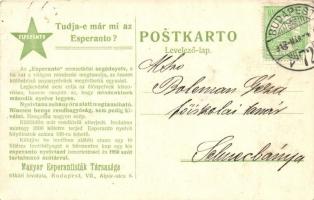 Tudja-e már mi az Esperanto? Magyar Esperantisták Társaság levelezőlapja / Hungarian Esperantists Society (EK)