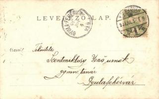 1903 Kolozsvár, Cluj; család a kertben katona apával / family in the garden with soldier father. pho...